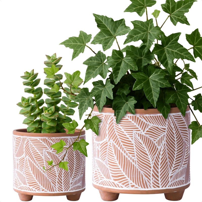 D'vine Dev Set of 2 Terracotta Planter Pots, 4 Inch & 6 Inch, Design Plants Pot with Drainage Hole, Sahara Fern, Terracotta/White, 31-953-H-1 - Image 1