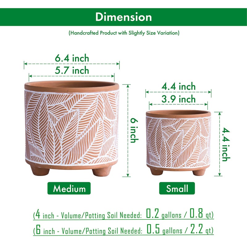 D'vine Dev Set of 2 Terracotta Planter Pots, 4 Inch & 6 Inch, Design Plants Pot with Drainage Hole, Sahara Fern, Terracotta/White, 31-953-H-1 - Image 3