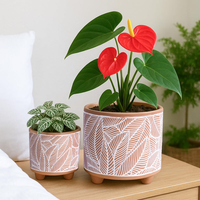 D'vine Dev Set of 2 Terracotta Planter Pots, 4 Inch & 6 Inch, Design Plants Pot with Drainage Hole, Sahara Fern, Terracotta/White, 31-953-H-1 - Image 2