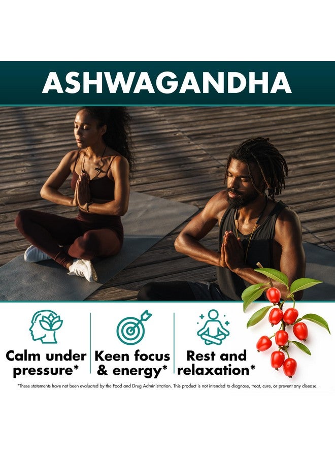 SECRET ELEMENT عبوة 2 من طحالب البحر الأيرلندية وزيت بذور الكمون الأسود وأشواغاندا والزنجبيل، 20,000 ملغ كبسولات، طحالب البحر وزيت بذور الكمون الأسود وأشواغاندا وجذر الأرقطيون، مكمل شامل، 240 كبسولة - Image 5