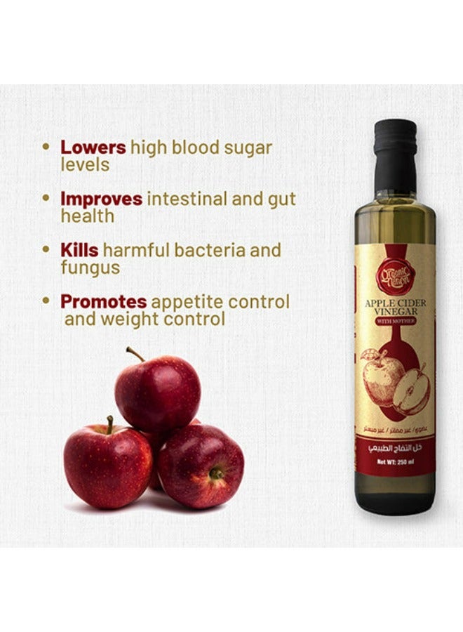 Organic Nation Apple Cider Vinegar 250ml - Image 5
