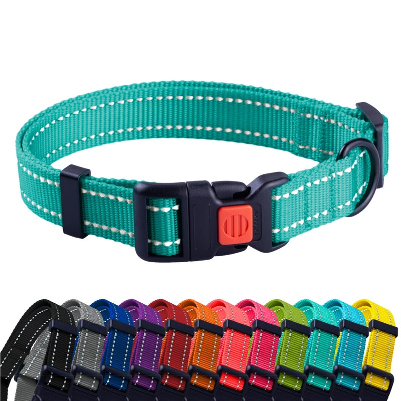CollarDirect Reflective Dog Collar for a Small, Medium, Large Dog or Puppy with a Quick Release Buckle - Boy and Girl - Nylon Suitable for Swimming (10-13 Inch, Mint Green) - Image 1