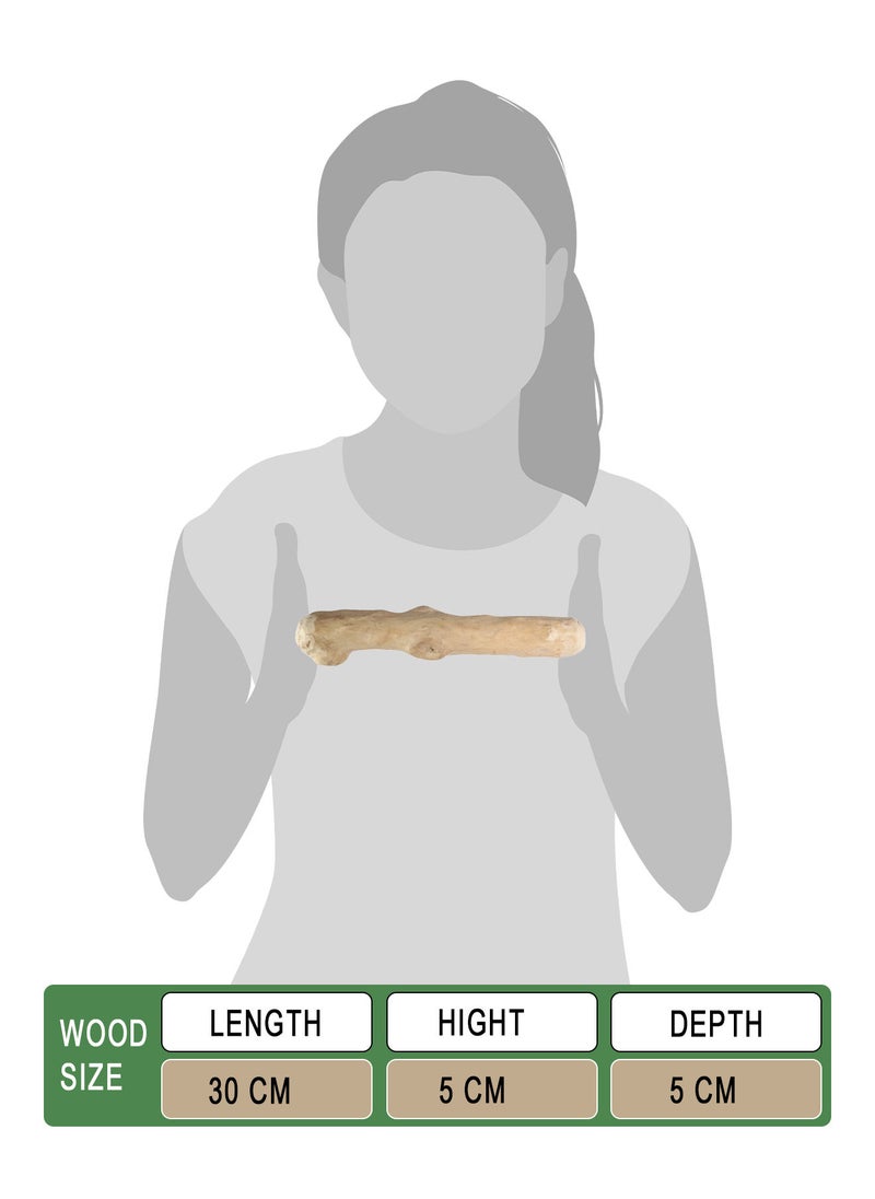 CHEWY BONE Large Dog Chew Wooden Stick Organic Indonesian Java wood for aggressive chewers For teething and Interactive play  - Image 2