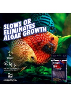 Fritz Aquatics Betta Botanicals for Betta and Community Fish Aquariums (Nature Box) - pzsku/Z180455674D36D18BA622Z/45/_/1737032181/9c83fe16-94bb-4074-9168-96919c169df6