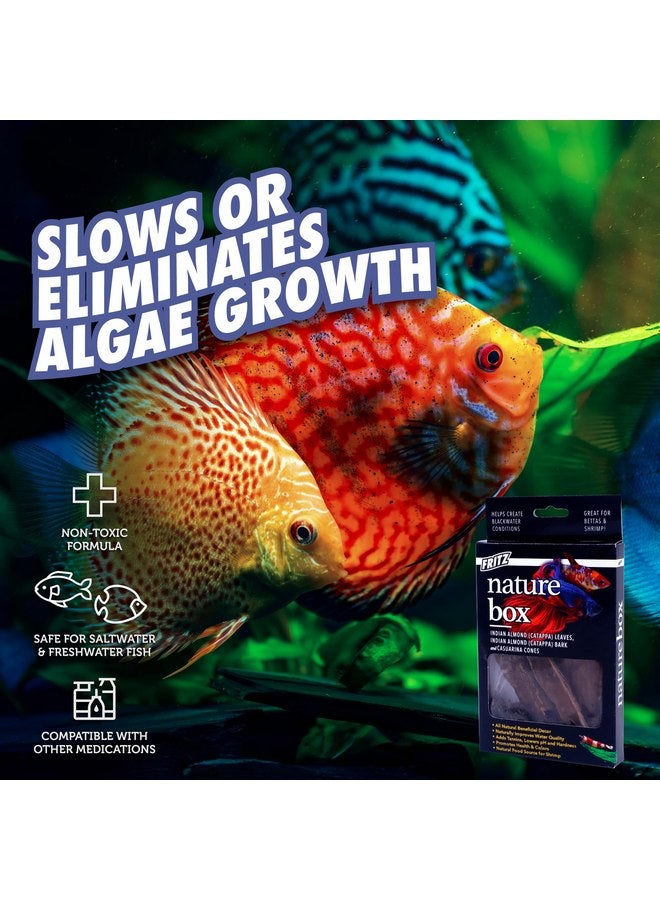 Fritz Aquatics Betta Botanicals for Betta and Community Fish Aquariums (Nature Box) - Image 4