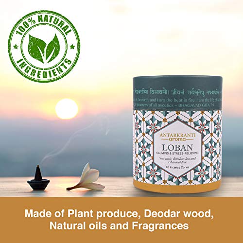 Antarkranti Sacred Life Dry Dhoop LOBAN Cones | Pack of 2 | Contains- 80 Incense Cones | Burning Time 35 Minutes | Low Smoke Dhoop for Pooja | 100% Organic & Charcoal Free | Aromatherapy | Meditation | Yoga - Image 4