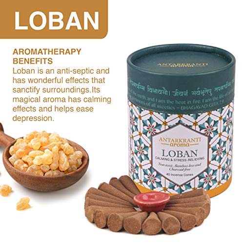 Antarkranti Sacred Life Dry Dhoop LOBAN Cones | Pack of 2 | Contains- 80 Incense Cones | Burning Time 35 Minutes | Low Smoke Dhoop for Pooja | 100% Organic & Charcoal Free | Aromatherapy | Meditation | Yoga - Image 3