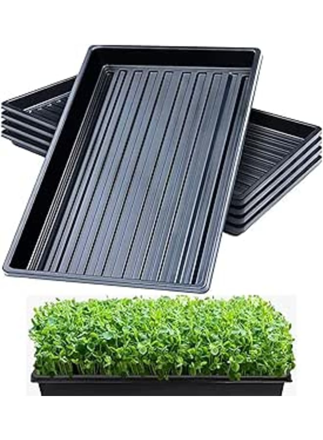 Generic Pvieked 10 Pack Growing Trays No Drain Holes 55 x 28 cm Propagation Trays Perfect Garden Seed Starter Grow Trays for Seedlings Gardening Indoor Micro Green Wheat Grass Hydroponics - Image 1