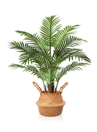 Palm Tree 90cm