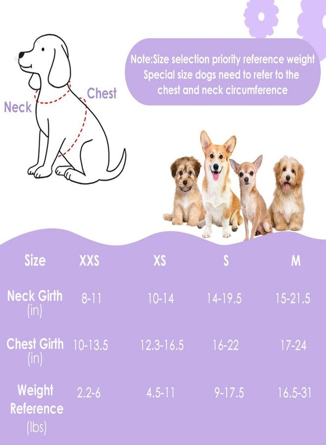 Lukovee No Pull Puppy Harness and Leash Set - Soft Lightweight Escape Proof Puppy Vest Harness, Breathable Adjustable Pet Harness with Dog Leash for Small Dogs (Purple, XXS) - Image 3