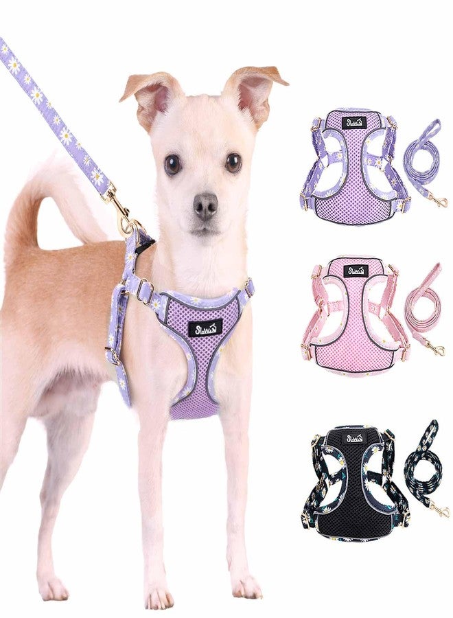 Lukovee No Pull Puppy Harness and Leash Set - Soft Lightweight Escape Proof Puppy Vest Harness, Breathable Adjustable Pet Harness with Dog Leash for Small Dogs (Purple, XXS) - Image 1