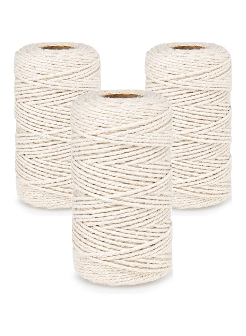 Natural Jute Twine String – 3-Pack, 100m, 2mm, 3-Ply Twine for Craft Projects, Gift Wrapping, Packing, Gardening, DIY Crafts, Durable and Eco-Friendly String for Home and Office Use - Image 1