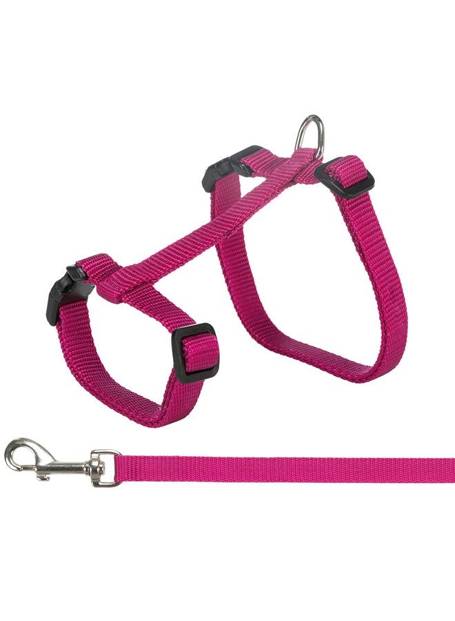 تريكسي حزام قطط مع مقود مقاس XL نايلون 34-57 سم/13 مم 1.20 متر - Image 3