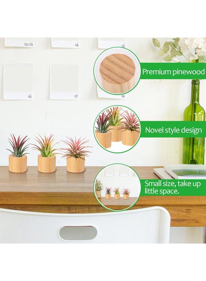 Bigmeta 3 Pcs Wood Air Plant Holder, 1.4" Rustic Style Airplant Display Stands - Image 4