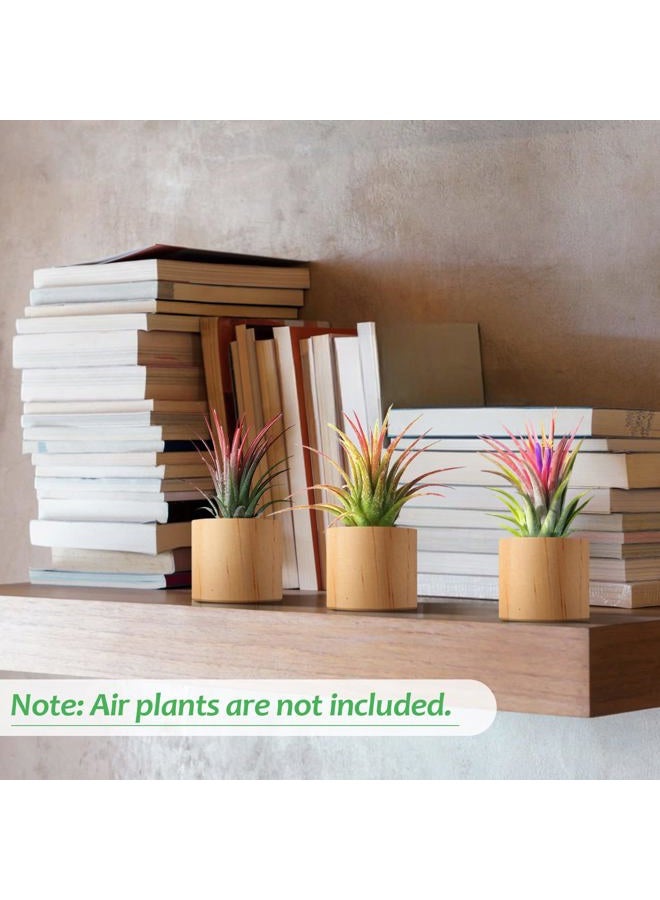 Bigmeta 3 Pcs Wood Air Plant Holder, 1.4" Rustic Style Airplant Display Stands - Image 3