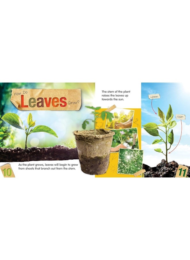 Leaves  - Image 1