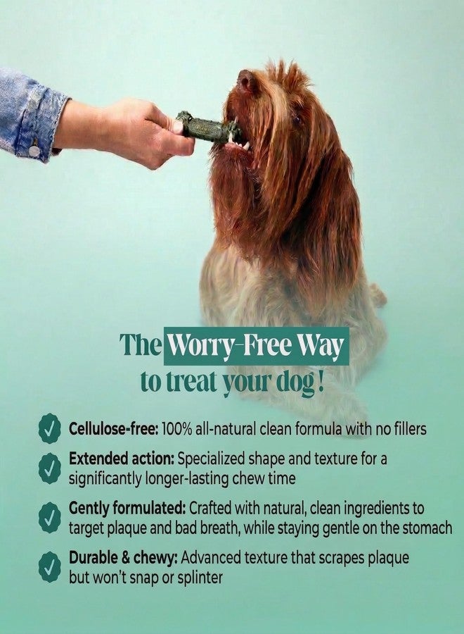 Pet Honesty Brush Buddies All Natural Dog Dental Treats for Dogs – Long Lasting Dental Sticks for Dogs, Teeth Cleaner, Breath Freshener, Plaque & Tartar Remover – Medium Sized Dogs (15 Count) - Image 5