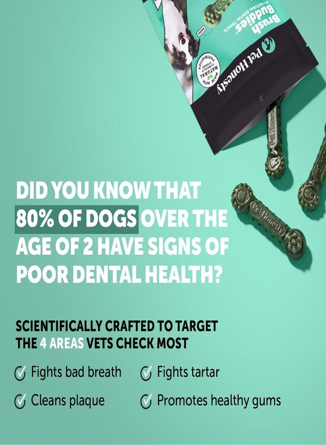 Pet Honesty Brush Buddies All Natural Dog Dental Treats for Dogs – Long Lasting Dental Sticks for Dogs, Teeth Cleaner, Breath Freshener, Plaque & Tartar Remover – Medium Sized Dogs (15 Count) - Image 2
