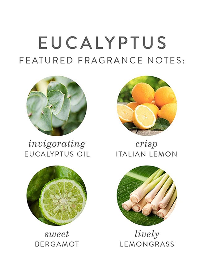 Thymes Home Fragrance Mist – Room Air Fresheners for Home Long Lasting – Air Freshener Spray – Scented Room Spray with Notes of Eucalyptus Oil, Italian Lemon, Fir, & Petitgrain (Eucalyptus, 3 oz) - Image 3