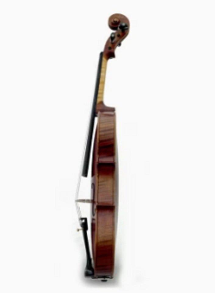 4/4 Violin With Accessories - Image 3