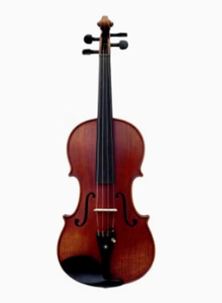 4/4 Violin With Accessories - Image 1