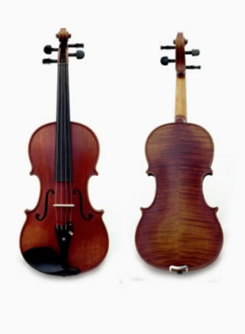 4/4 Violin With Accessories - Image 2
