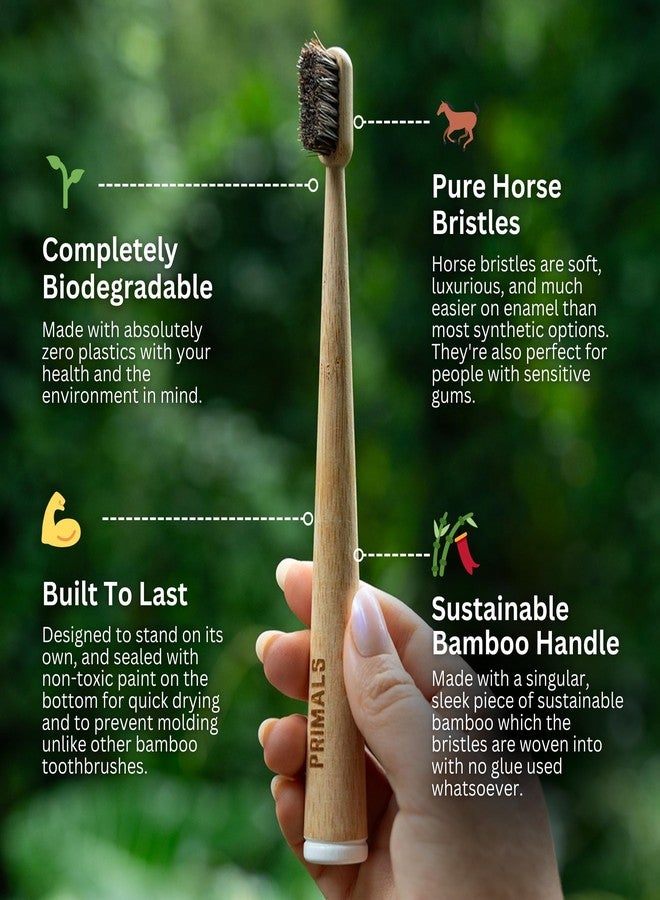 PRIMALS Horse Bristle & Bamboo Toothbrush (4-Pack) - Luxurious & Soft Horse Bristles - Fully Biodegradable - Plastic & Nylon Free - Quick Dry Design - Image 2