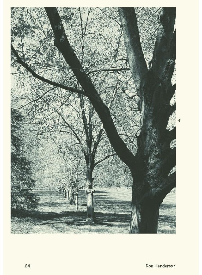 30 Trees: And Why Landscape Architects Love Them  - Image 4