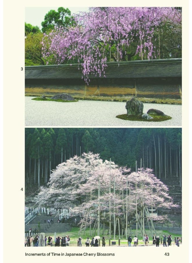 30 Trees: And Why Landscape Architects Love Them  - Image 5