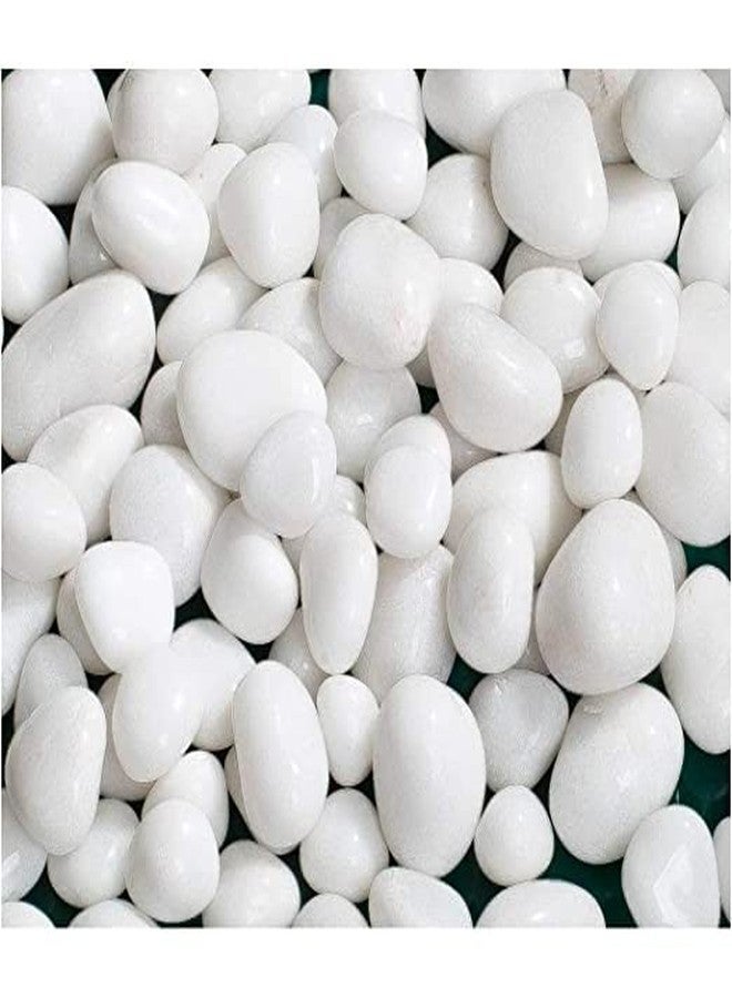 VANNEF Stone Small White Decorative Pebbles for Garden & Home Decor (White, 1950gm) - Image 1