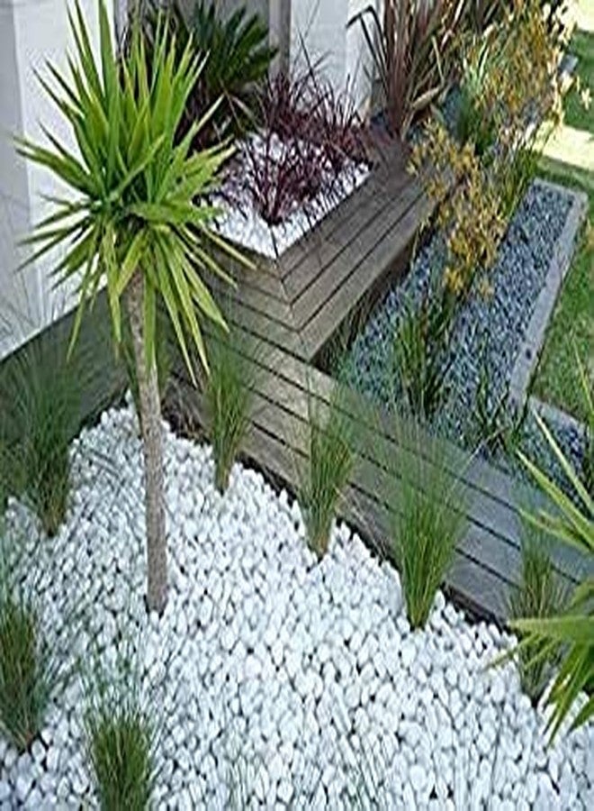 VANNEF Stone Small White Decorative Pebbles for Garden & Home Decor (White, 1950gm) - Image 5