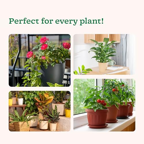UGAOO Plant Booster for Speed Growth Combo Pack (3 x 50 ml) | Plant Growth Booster Liquid & Organic Plant Booster Liquid Fertilizer | Liquid Fertilizer for Indoor Plants Home Garden & Flower Plants - Image 5