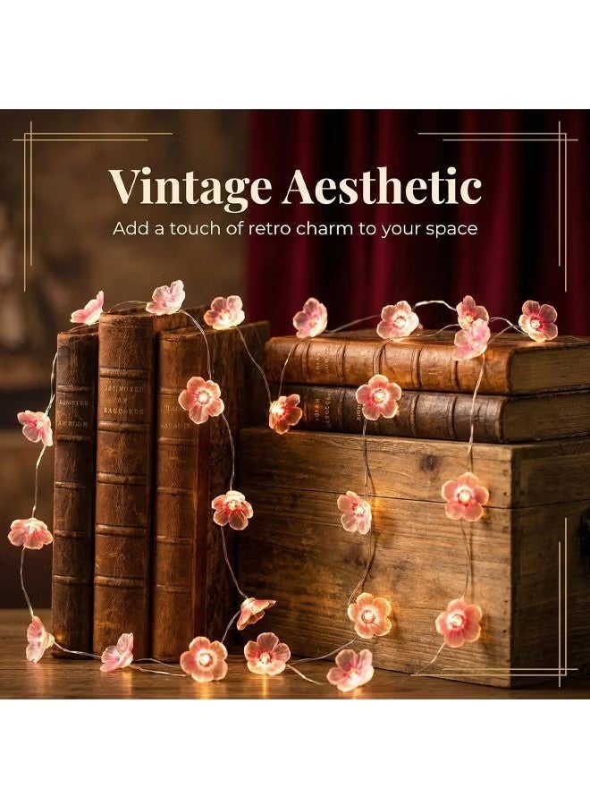 سلسلة أضواء زينة (Fairy Lights) بطول مترين، تضم 20 مصباح LED على شكل أزهار الكرز الوردي. تعمل بالبطارية، وهي مثالية لتزيين غرف النوم، وديكورات الربيع وعيد الميلاد (الكريسماس) الداخلية، وتُعد هدية رائعة لغرف الفتيات. تتميز بتصميم جذاب وأنيق، كما أنها متينة وعملية. - Image 2