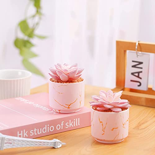 ZENIDA Succulent Artificial Plants,Cute Fake Succulents in 2 Pink Ceramic Pots,Small Fake Plants for Office,Table,Desk,Bathroom, Bedroom,Aesthetic Room Shelves Decor,Desk Decorations for Women Office - Image 2