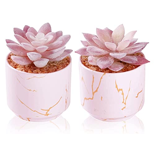 ZENIDA Succulent Artificial Plants,Cute Fake Succulents in 2 Pink Ceramic Pots,Small Fake Plants for Office,Table,Desk,Bathroom, Bedroom,Aesthetic Room Shelves Decor,Desk Decorations for Women Office - Image 1