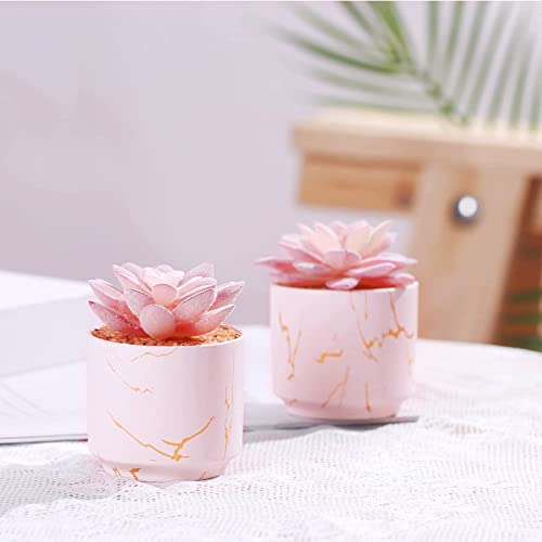 ZENIDA Succulent Artificial Plants,Cute Fake Succulents in 2 Pink Ceramic Pots,Small Fake Plants for Office,Table,Desk,Bathroom, Bedroom,Aesthetic Room Shelves Decor,Desk Decorations for Women Office - Image 4