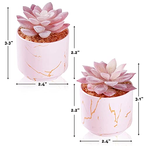 ZENIDA Succulent Artificial Plants,Cute Fake Succulents in 2 Pink Ceramic Pots,Small Fake Plants for Office,Table,Desk,Bathroom, Bedroom,Aesthetic Room Shelves Decor,Desk Decorations for Women Office - Image 5