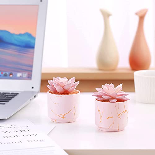 ZENIDA Succulent Artificial Plants,Cute Fake Succulents in 2 Pink Ceramic Pots,Small Fake Plants for Office,Table,Desk,Bathroom, Bedroom,Aesthetic Room Shelves Decor,Desk Decorations for Women Office - Image 3