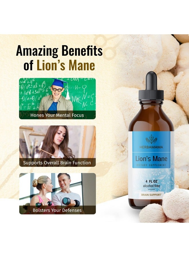 HERBAMAMA Lions Mane Liquid Extract Lions Mane Mushroom Supplement Vegan Lions Mane Tincture 4 Fl. Oz. - Image 5