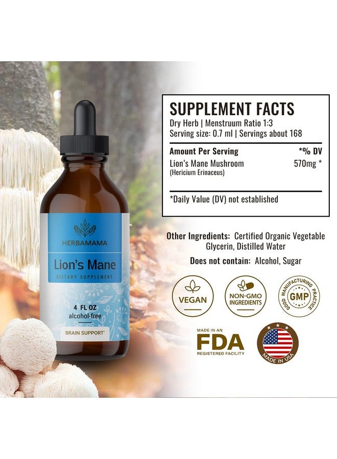 HERBAMAMA Lions Mane Liquid Extract Lions Mane Mushroom Supplement Vegan Lions Mane Tincture 4 Fl. Oz. - Image 3