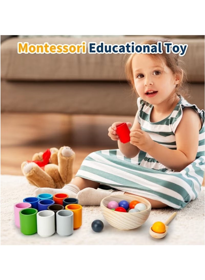 12 Balls Colour Sorting Toys for Toddlers, Balls in Cups Montessori Wooden Toy, Wooden Sorter Game, Wood Sensory Puzzle Toys Matching Game with Sorting Bowls for Kids Counting  - Image 2