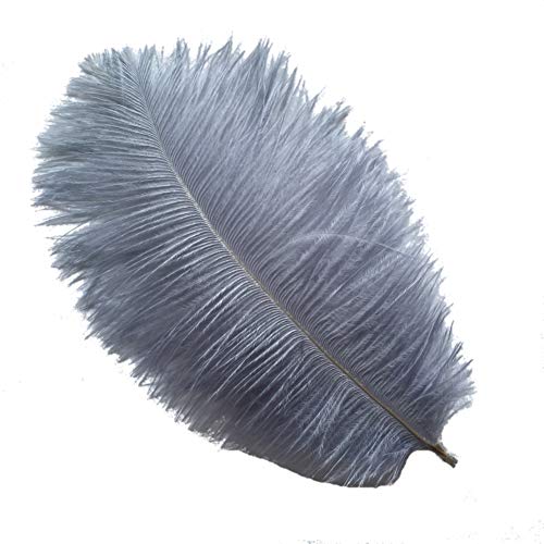 Sowder 50pcs Natural 8-10inch(20-25cm) Ostrich Feathers Home Wedding Decoration(Grey) - Image 1