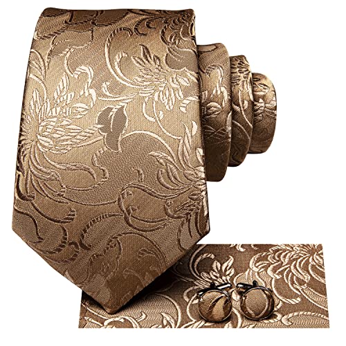 Hi-Tie Silk Paisley Ties for Men Necktie Pocket Square Cufflinks Set Foral Tie Sets Formal Business,Khaki - Image 2