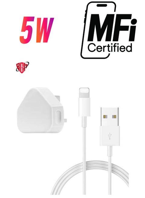 5V 1A USB Charger Cable and Plug Compatible for iPhone 5S/6/6S/6 Plus/6S Plus/7/7 Plus/8/8 Plus/XS/X/XS Max/11/XR/iPod