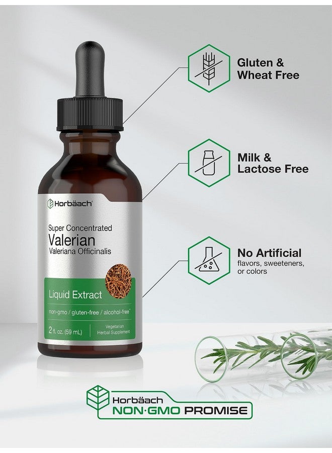 Horbäach Valerian Root Extract Drops Alcohol Free | 2 fl oz | Super Concentrated Liquid | Vegetarian, Non-GMO & Gluten Free - Image 4