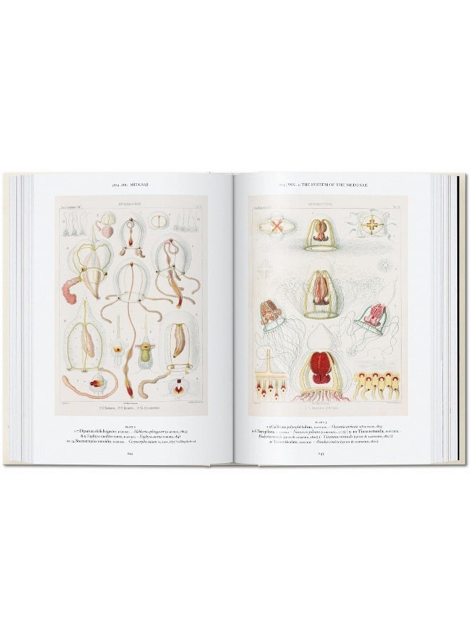 The Art and Science of Ernst Haeckel. 40th Ed.