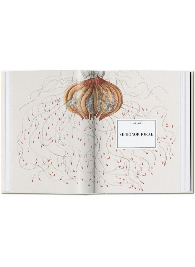 The Art and Science of Ernst Haeckel. 40th Ed.  - Image 3