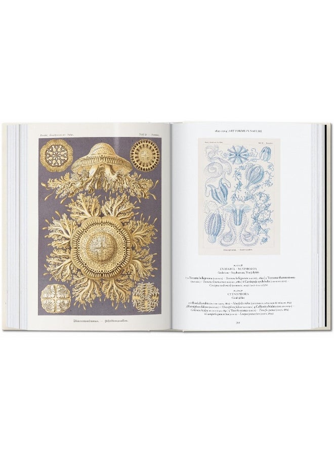 The Art and Science of Ernst Haeckel. 40th Ed.