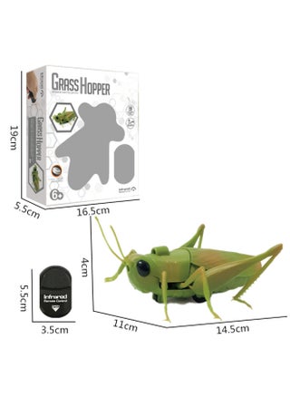 Simulation Remote Control Snake Animal Model Electric Induction Remote Control Cockroach Trick Toy A Generation Of Hair-Color:Remote Control Grasshopper - pzsku/Z181B881CE8636D3FFAA3Z/45/1745425909/4412b8ac-402e-4d22-b6cb-c87c7dcb30e3