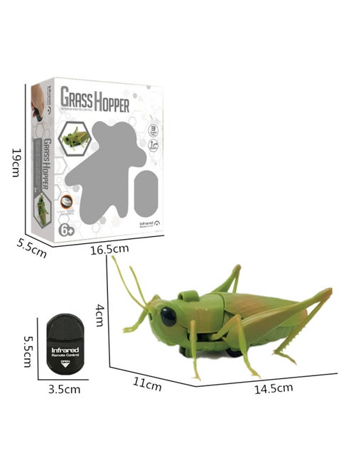 Simulation Remote Control Snake Animal Model Electric Induction Remote Control Cockroach Trick Toy A Generation Of Hair-Color:Remote Control Grasshopper